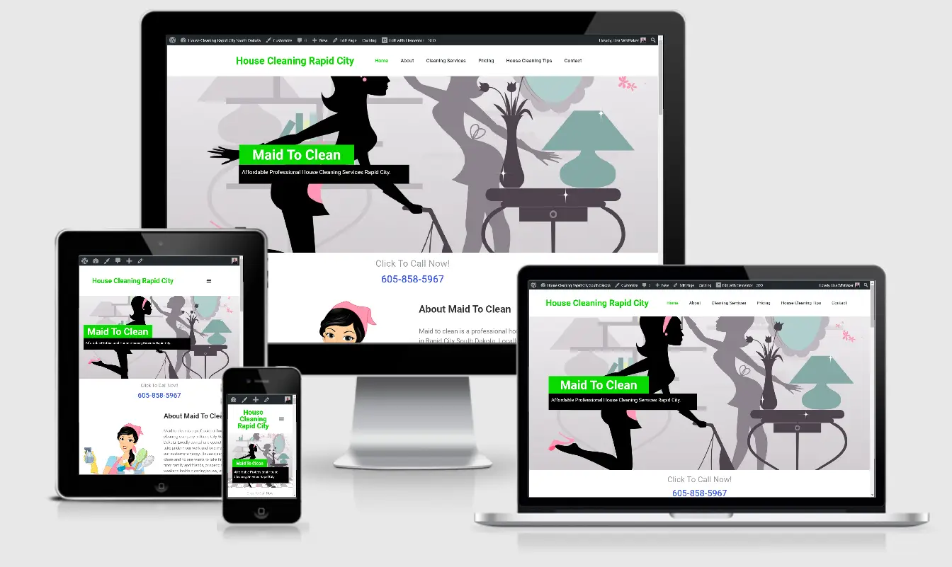 Maid to Clean Portfolio 1