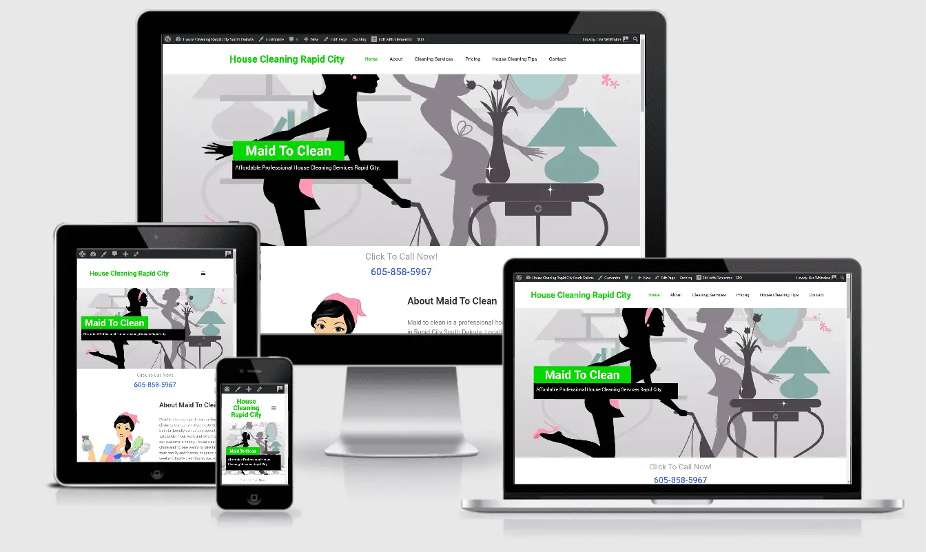 Maid to Clean Portfolio