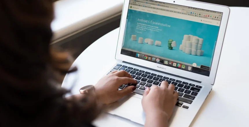 website developer